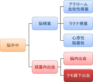 くも膜下出血の後遺症、リハビリ