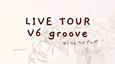 セトリ＆収録CDまとめ】 V6ラスト全国ツアー 「V6 groove」レポ 