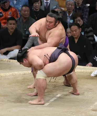 貴景勝関、初場所5日目！ ジェラートピケ化粧まわしで話題沸騰！？貴景勝関の意外な一面とは！？