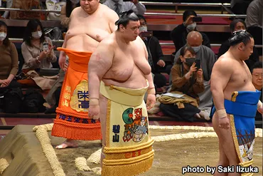 碧山関の結婚と家族！相撲とプライベートの知られざる物語！碧山関の家族とは！？