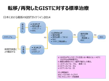 世界標準の転移・再発GIST薬物療法を受けるには 