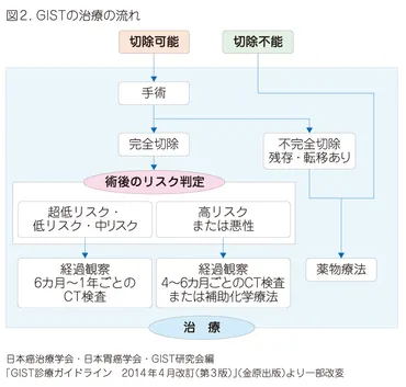 消化管間質腫瘍 