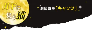 ジェリクルキャッツ紹介 劇団四季キャッツ、７月１７日から静岡 ...