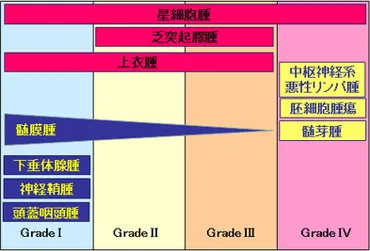 脳腫瘍 