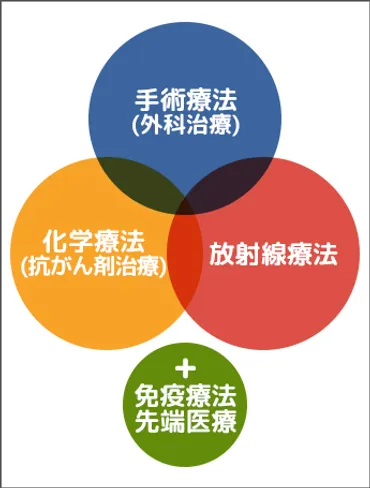 がんの治療方法～手術・抗がん剤・放射線・免疫療法・緩和ケア ...