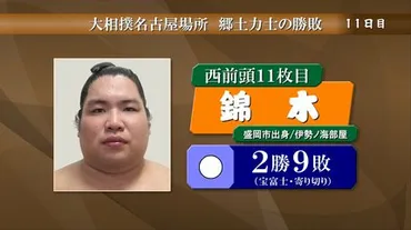 錦木は宝富士に寄り切りで勝って2勝9敗 大相撲名古屋場所11日目 ...