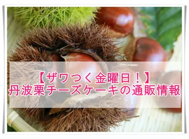 ザワつく金曜日！】丹羽栗「栗峰」のチーズケーキの通販は？値段 ...