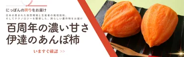 あんぽ柿と市田柿の違いは？同じ干し柿でも全く別物 