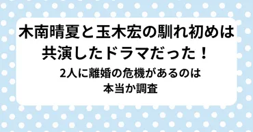 木南晴夏と玉木宏の馴れ初めは共演したドラマだった！2人に離婚 ...