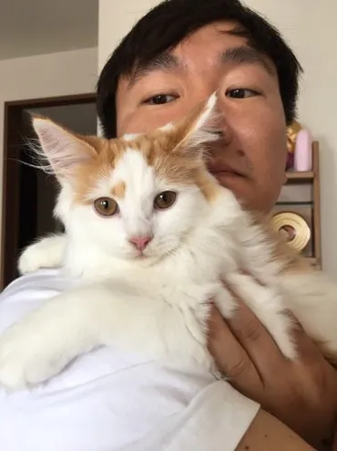 かまいたち山内が語る゛猫愛゛と゛妻愛゛。なれそめはインスタの猫 ...