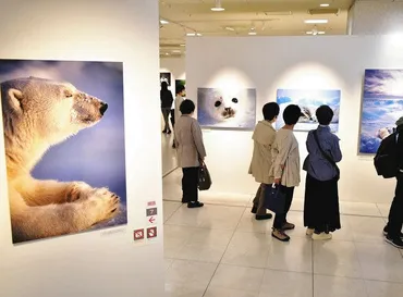 北極圏の動物や人を撮り続け 名古屋で星野道夫さん作品展：中日 ...