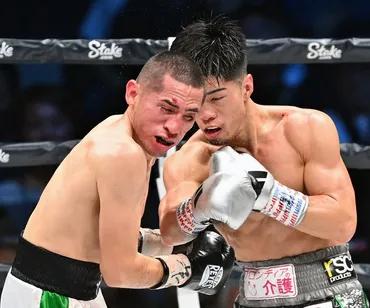 田中恒成が4階級制覇 ボクシングWBOスーパーフライ級で新王座 ...