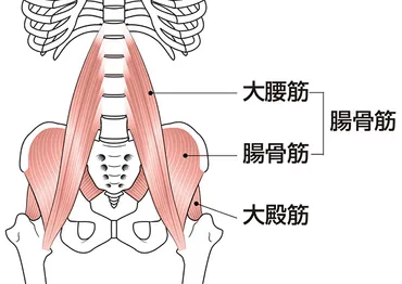 全日本西田選手に学ぶジャンプ力向上法① 