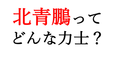 北青鵬ってどんな力士？国籍や中学高校、所属部屋や白鵬との関係 ...