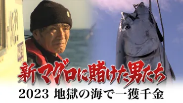 狙うは一獲千金！厳寒の津軽海峡、青森・大間のマグロ漁師に密着 ...