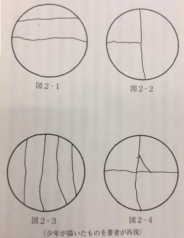 非行少年：「ケーキの切れない非行少年たち」著者に聞く（その１ ...