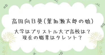 高田向日葵の高校どこで大学はブリストル大！現在の職業はタレント？