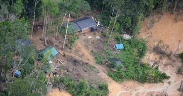 アマゾン破壊に銃撃…ブラジル先住民保護区で横行する違法採掘 