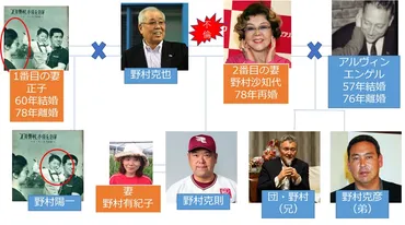 家系図】野村克也の息子は合計4人！陽一は前夫人の子供で現在は？ 