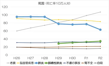 死因統計における゛肺炎゛と゛誤嚥性肺炎゛ 