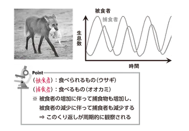 高校生物】「被食・捕食関係」 