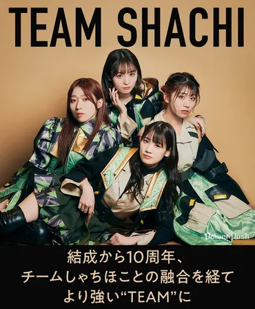 TEAM SHACHIインタビュー