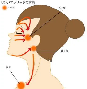 リンパと広頚筋がカギ！二重あごに効くマッサージ動画＆解消法まとめ