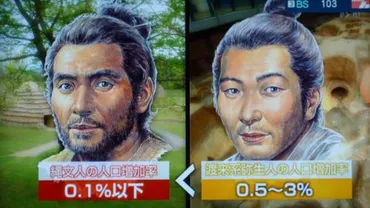 縄文顔と弥生顔: あなたのルーツはどっち？古代日本人の顔立ちの秘密とは！？