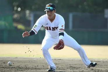 プロ野球ポジション別年俸ランキング