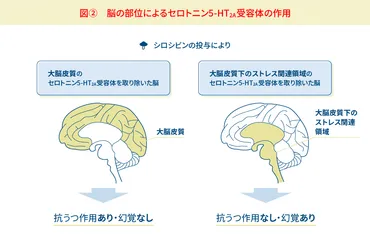 幻覚剤はうつ病の治療薬になる？幻覚剤の新たな可能性とは！？