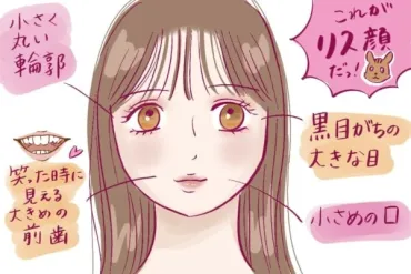 リス顔ってどんな顔？特徴から芸能人まで徹底解説！愛され顔の秘密とは！？