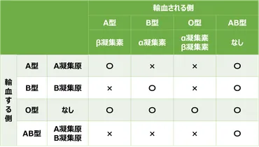 ABO式血液型 