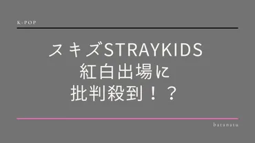 スキズ紅白出場に批判殺到？炎上でペン卒するステイも 