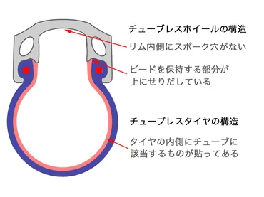 タイヤシステムの違いを理解する クリンチャー・チューブラー・チューブレス・チューブレスレディ 