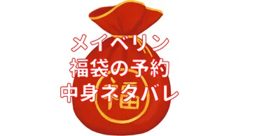 メイベリン福袋 2025年 予約はいつから？中身ネタバレも！2025年版は、一体どんなコスメが入ってるの！？