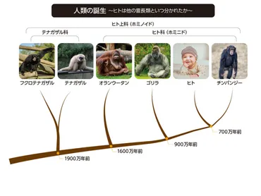 未来ビジョン】《山極壽一さんインタビュー》ゴリラたちから学ぶ 〜人間の本質と未来の姿〜 