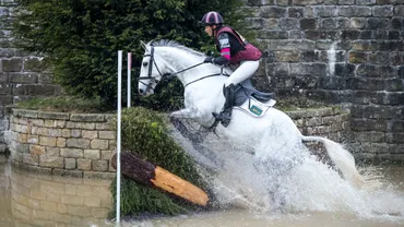 パリ五輪で総合馬術が銅メダル！大岩選手らの活躍は？総合馬術競技とは！？