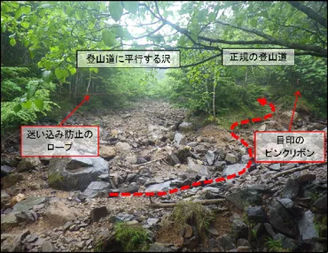 道迷い遭難を防ぐためにできる３つのこと 島崎三歩の「山岳通信」 第155号 