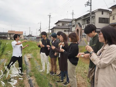 龍谷大学 農学部ブログ: コムギ遺伝資源についてフィールドワークしました