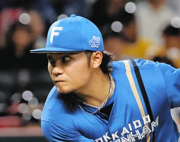 日本ハム・伊藤大海、リーグ単独トップ14勝目 新庄監督は「ファイターズのエースじゃだめ。球界のエースに」と要望：中日スポーツ・東京中日スポーツ