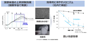 夏の熱中症対策に向けて＞ アイススラリーが効果的に身体を冷やすメカニズムを検証 