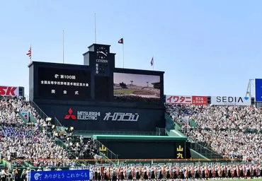 甲子園が約７０００万円かけて熱中症対策 エアコン計２８台増設 高野連が発表/野球/デイリースポーツ online