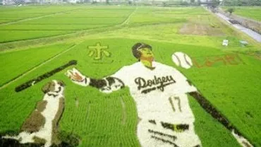 大谷翔平とデコピンの田んぼアートが出身地に 「本塁打王に」と期待 