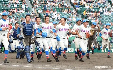 花咲徳栄高校は、甲子園でどんな活躍をしてきたの？花咲徳栄高校の強さとは！？