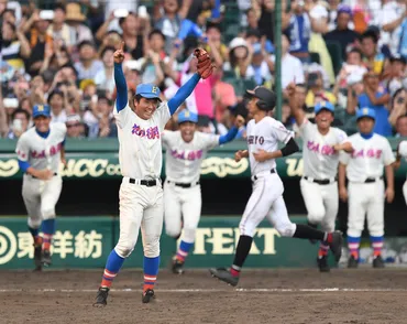 花咲徳栄、埼玉勢初の夏の甲子園制覇 第4回WBCがあった17年 