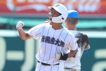 新潟産大付が甲子園初出場初勝利 花咲徳栄に逆転勝ち…プロ注目・石塚は1安打終戦 