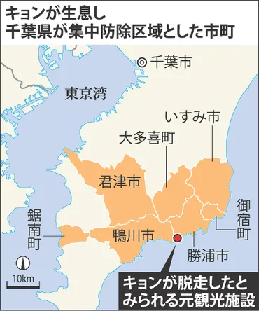 キョン：房総で大繁殖１４年で５０倍５万頭 農業被害拡大 