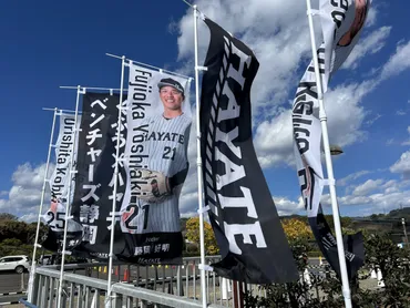 今年からプロ野球ファームリーグに参加する「オイシックス新潟アルビレックス」と「くふうハヤテベンチャーズ静岡」。勇気ある挑戦を応援したい。￼ 