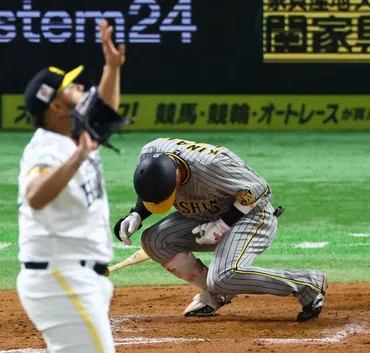 阪神・木浪 左肩甲骨の骨折で抹消 １５日に死球「やれることをやって早く治すことが一番」/阪神タイガース/デイリースポーツ online