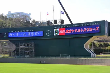 東京ヤクルトスワローズ キャンプIN浦添 歓迎式 